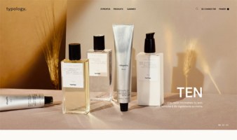 eCommerce website: Typology