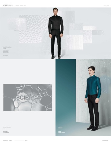 eCommerce website: Vardama