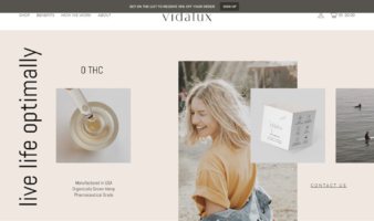 eCommerce website: Vidalux