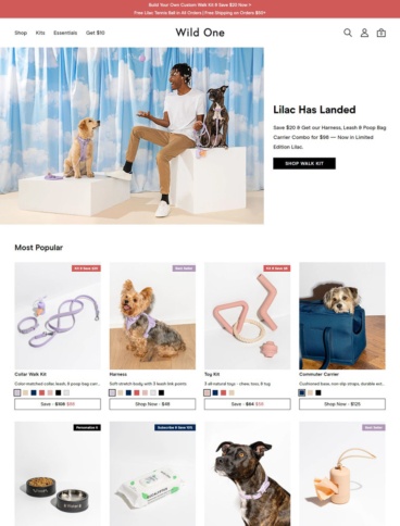 eCommerce website: Wild One