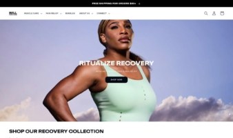 eCommerce website: Will Perform