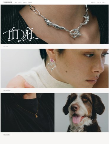 eCommerce website: Wolf Circus